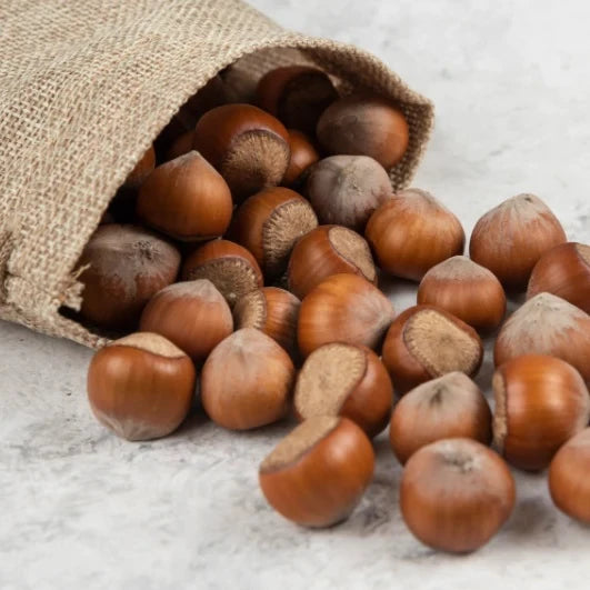 Frisch geerntete Haselnüsse in rustikalem Jutesack – die natürliche Basis für die Bio-Haselnuss-Spirituose von Grote & Co., Berliner Manufaktur mit Anspruch.
