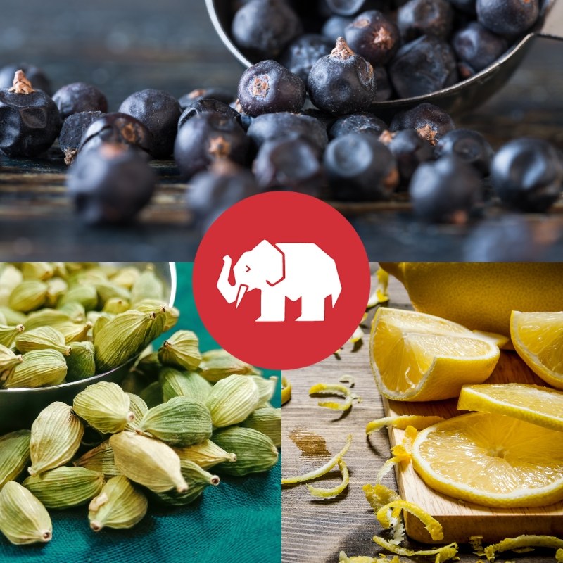 Collage mit Wacholderbeeren, Kardamomkapseln und frischer Zitronenschale, kombiniert mit dem roten Mampe-Elefantenlogo – die wichtigsten Botanicals des Gins.