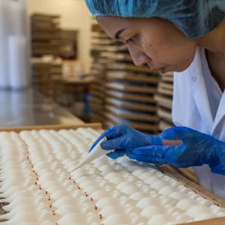 Mitarbeiterin der Manufaktur mit blauer Haube beim präzisen Auftragen der Augen auf jede einzelne Riesenmaus.