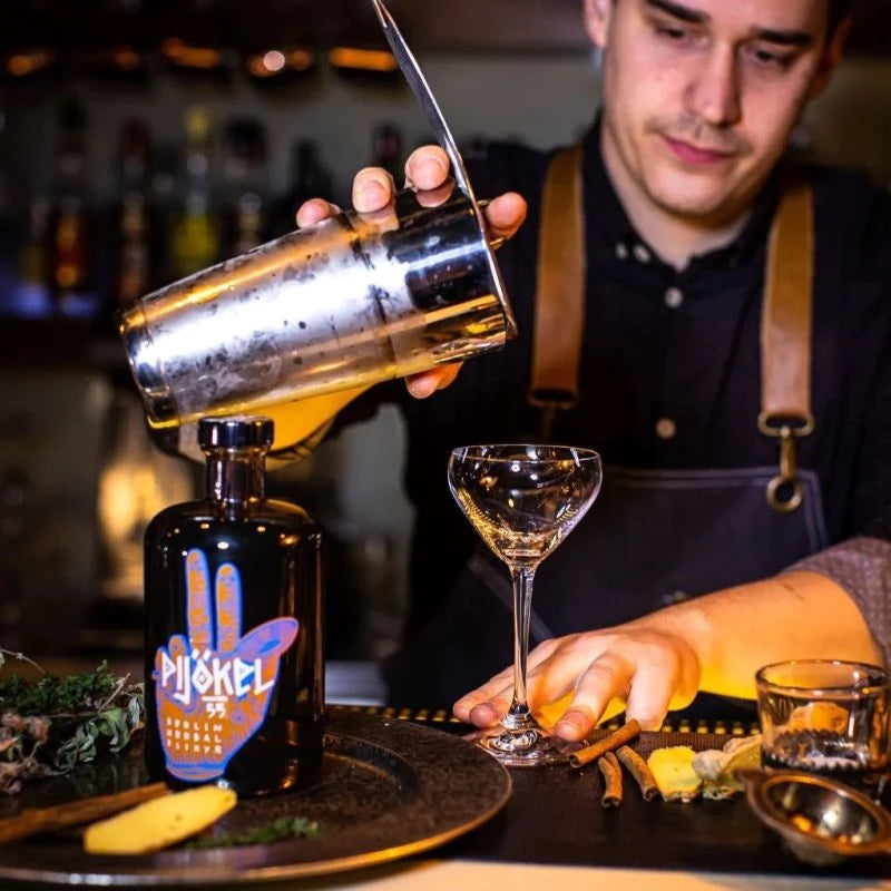 Barkeeper mixt PIJÖKEL Cocktail mit Shaker und Kräutern – handgemachter Kräuterlikör aus Berlin im Einsatz