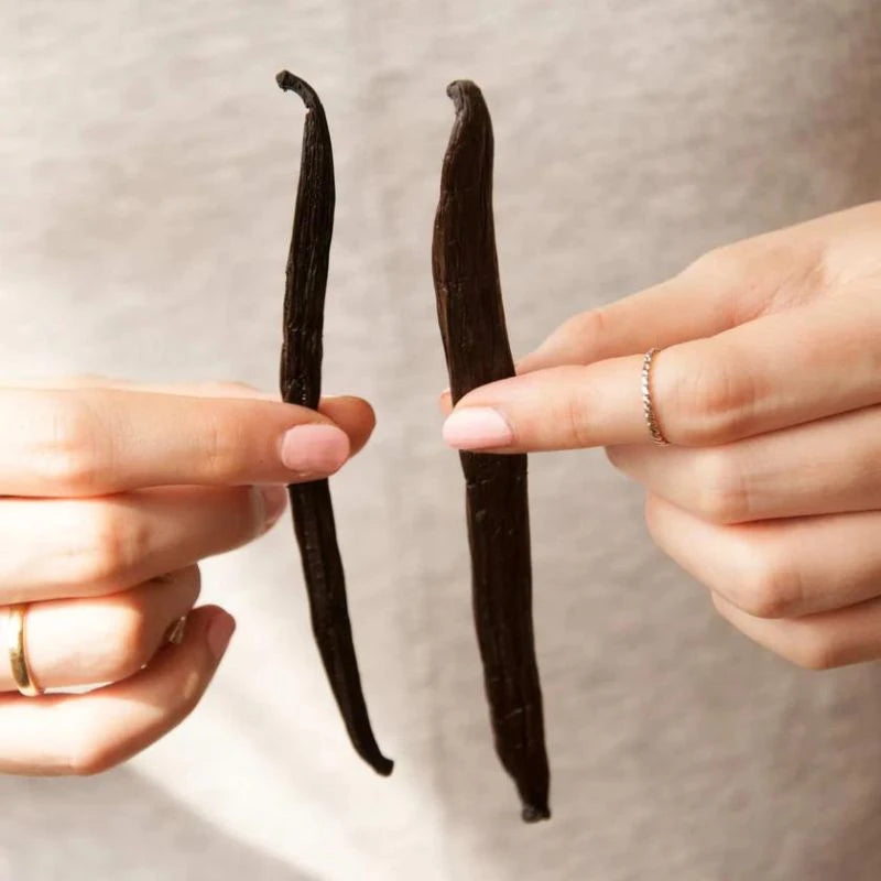 Zwei echte Tahiti-Vanille-Schoten werden von Händen gehalten – hochwertige Zutat für das aromatische Knalle Popkorn aus Berlin.