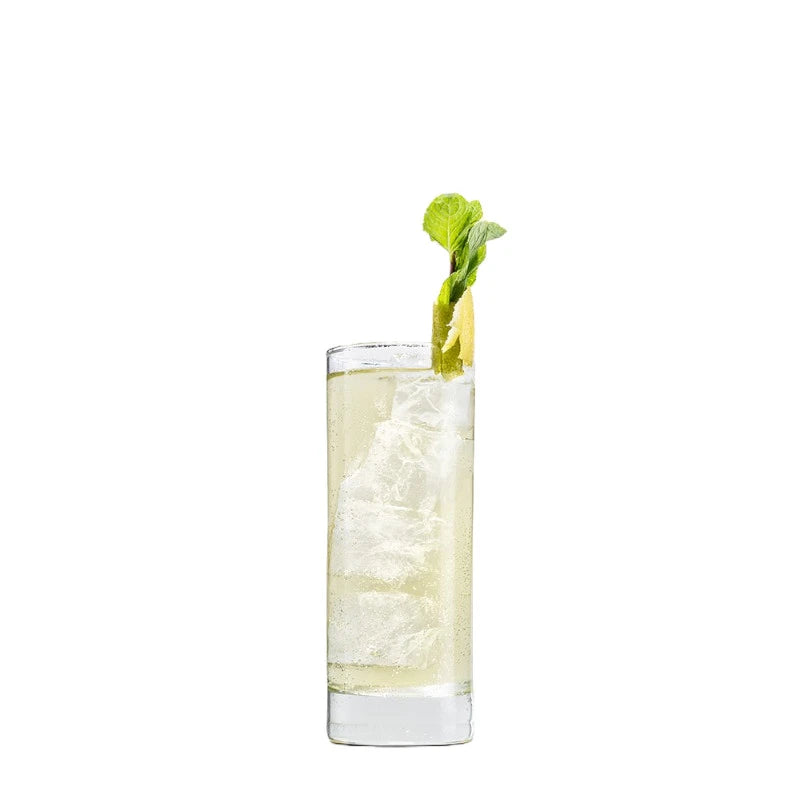 Longdrinkglas mit hellem, leicht gelblichem Pfefferminz-Longdrink auf Eis, dekoriert mit Minzzweig und Limettenspirale. Die Komposition wirkt erfrischend und aromatisch.